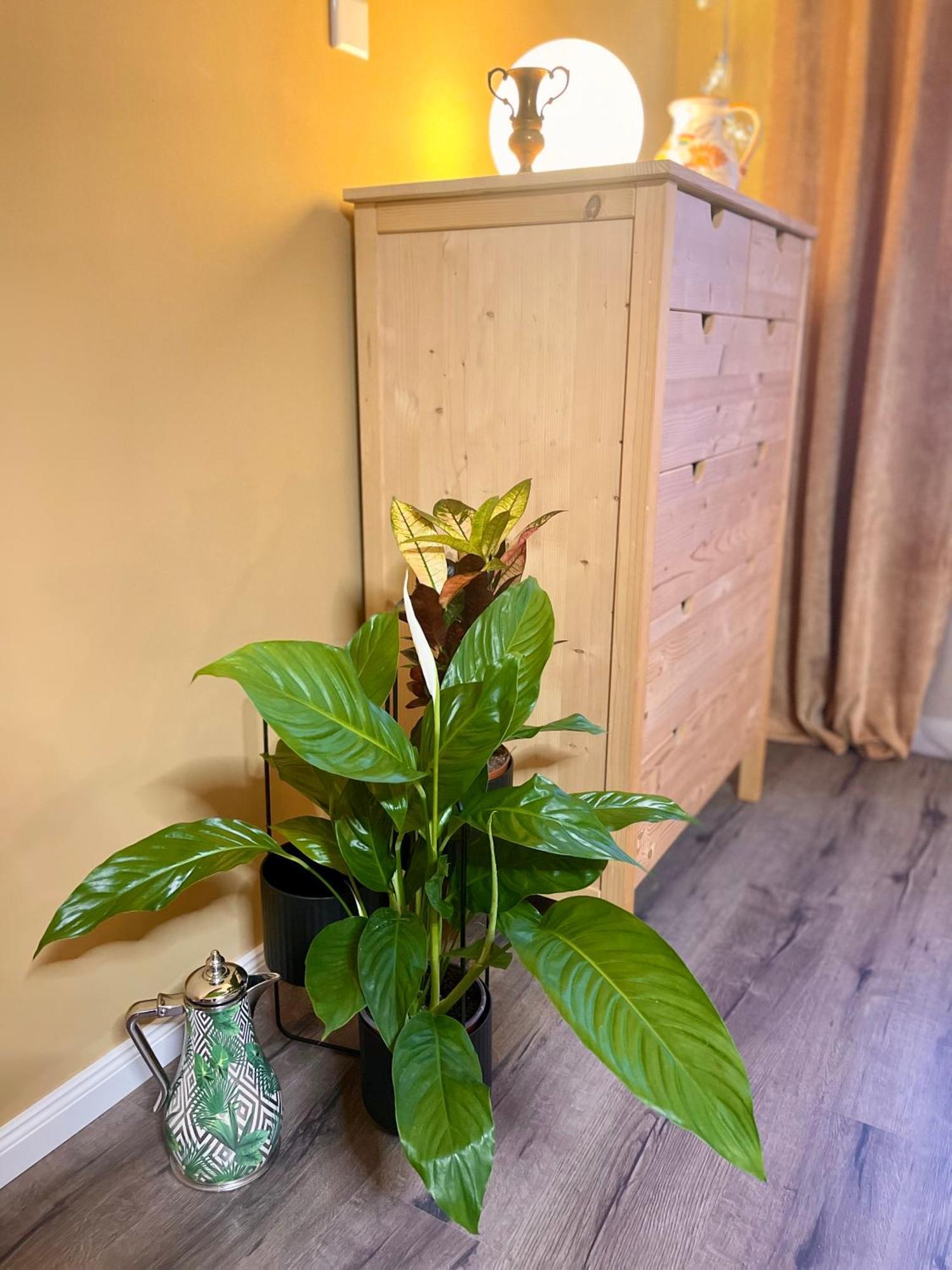 Terracotta Apartment - Zentral, Parken, Netflix, Kontaktloses Einchecken, Kingsize-Bett Wuppertal Buitenkant foto